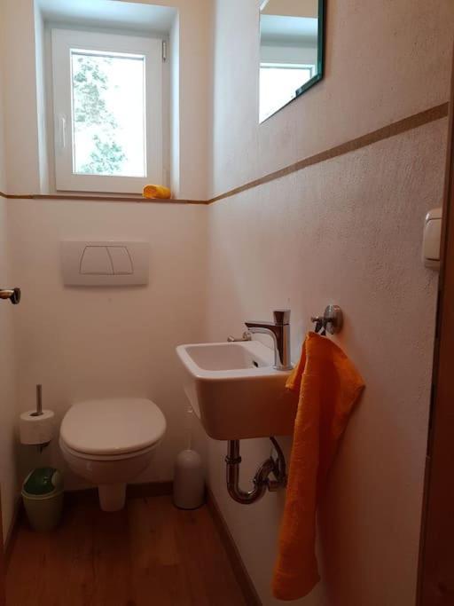 Gemuetliche Wohnung Mit Blick Auf Den Zahmen Kaiser Niederndorferberg Екстер'єр фото